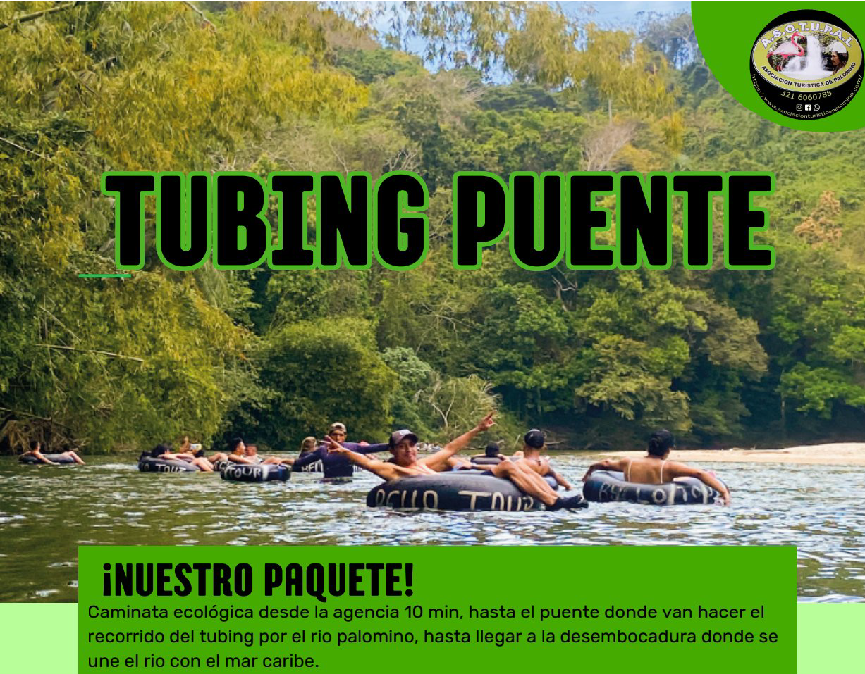 CROWFUNDING SILVER SIERRA NEVADA COLOMBIA